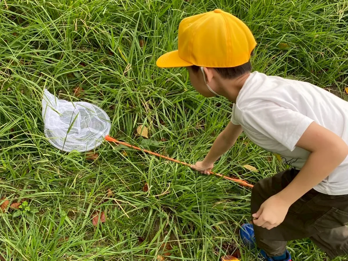 草むらで虫とり網を持って観察する子ども
