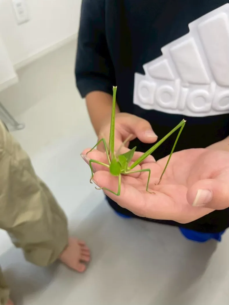 手のひらの上の虫を観察する子どもたち